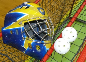 Formulář "Cestovní příkaz" - kopie