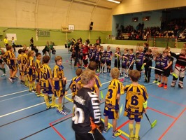 Gothia 4.1.2014- souhrn dne - kopie