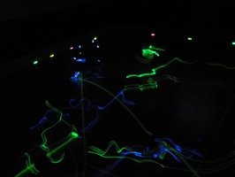 Poniklá 2013 - den 7. - kopie