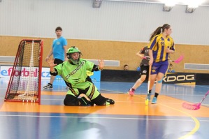 PŘEHLED VÍKENDOVÝCH ZÁPASŮ 14# - kopie