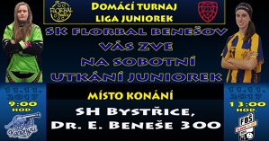 PŘEHLED VÍKENDOVÝCH ZÁPASŮ 7# - kopie