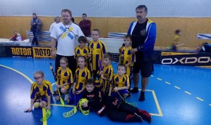 Přípravka využila výhodu domácího prostředí a získala stříbrné medaile - kopie