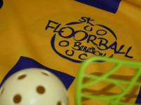 Spanilá jízda juniorů stále pokračuje - kopie Spanilá jízda juniorů stále pokračuje - kopie