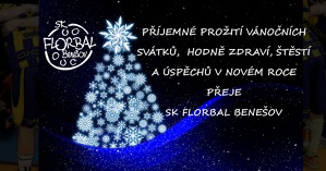 ŠŤASTNÉ A VESELÉ! - kopie