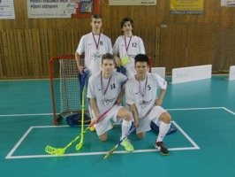 Turnaj krajských reprezentací U 17 v Plzní – 18. – 19. ledna 2014 - kopie