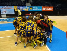 Turnaj v Pardubické ČEZ Aréně- vítězné foto ohlednutí. - kopie