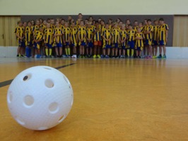 Letní soustředění Poniklá 2013 - den poté
